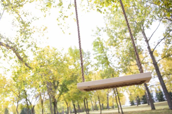 Tree Swing Installation in Pickerington