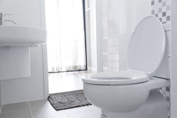 Toilet Seat Installation in Pickerington