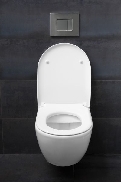 Toilet Lid Installation in Pickerington