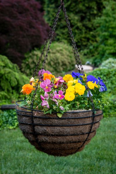 Hanging Basket Installation in Pickerington