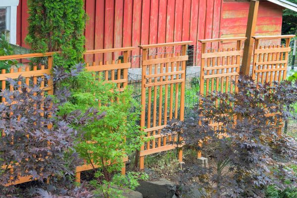 Wood Trellis Mounting in Pickerington