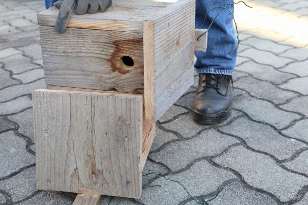 Birdhouse Mounting in Pickerington