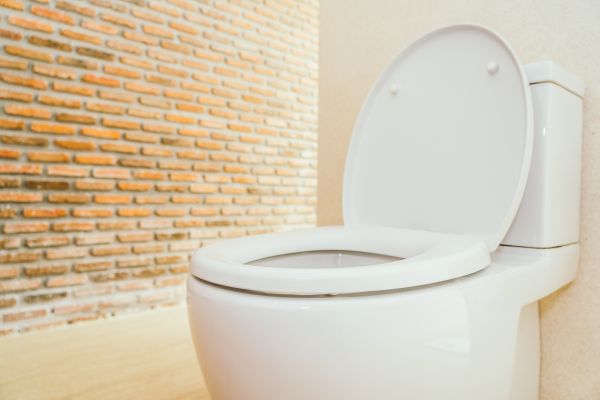 Toilet Seat Repair in Pickerington